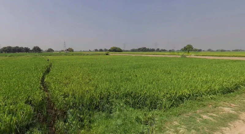 Jaisalmer, Rajasthan 345001, India preview 3