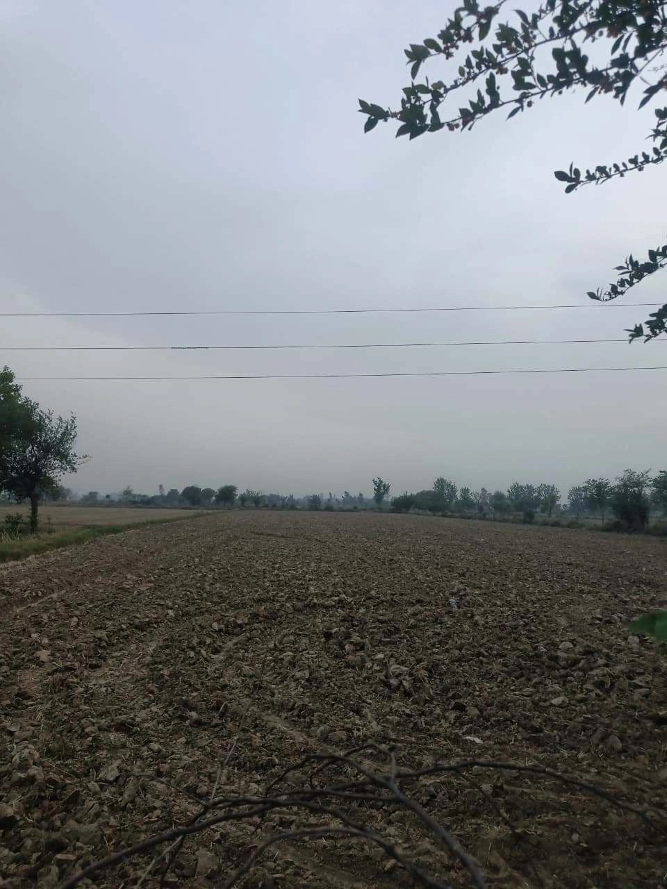 Tahnoli, Khairthal-Tijara, Rajasthan 301405, India