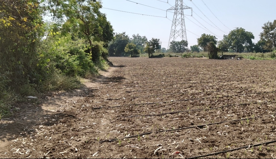 424201, Lohara - Jalgaon Rd, lohara, Maharashtra 424201, India