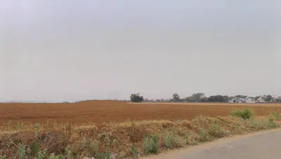 Dharuhera, Haryana, India preview 3