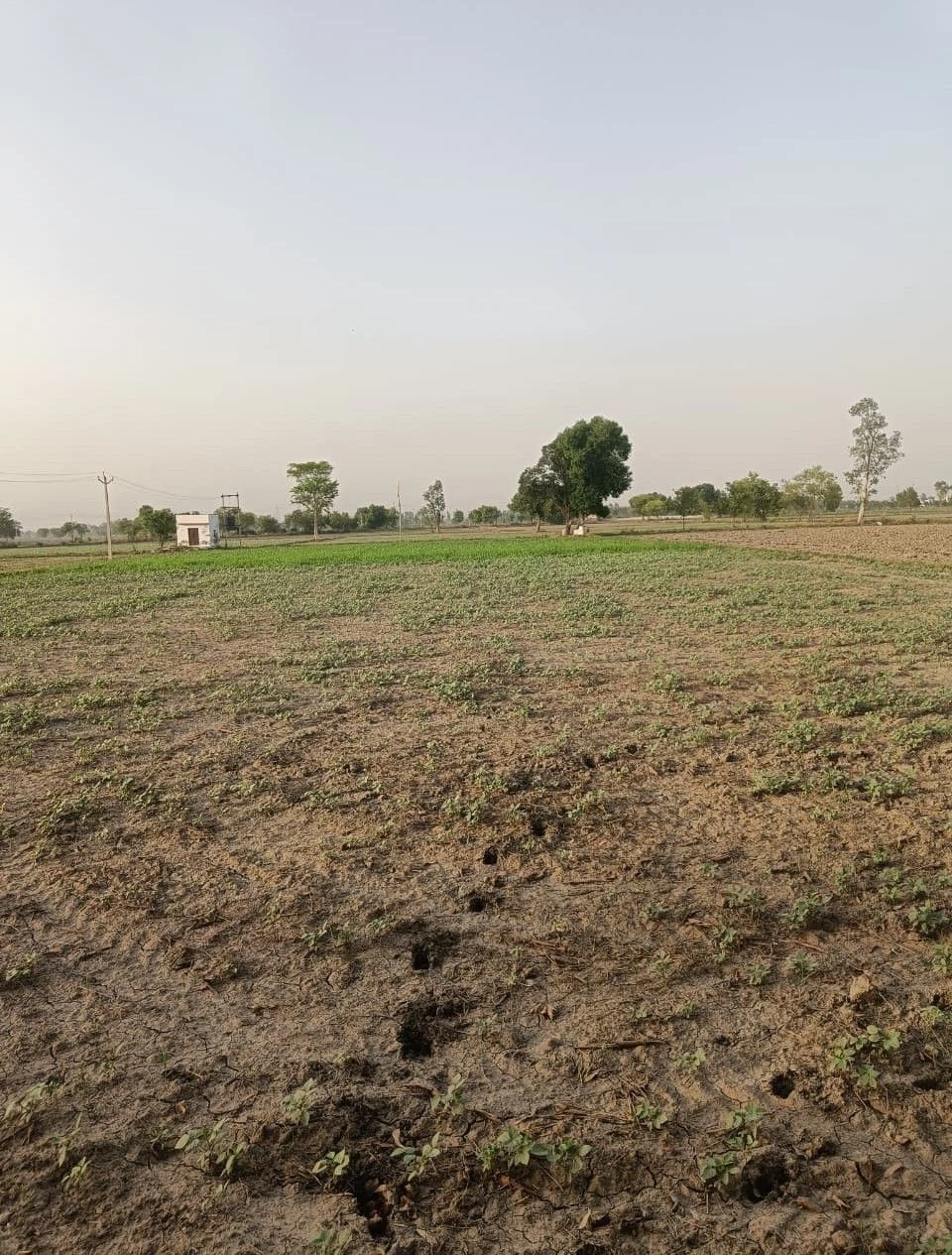 Bahadurpur, Rajasthan 301409, India