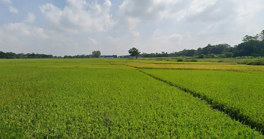 Mandar, Jharkhand 835214, India