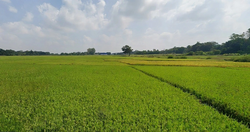 Mandar, Jharkhand 835214, India