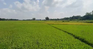 Mandar, Jharkhand 835214, India preview 3