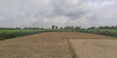 Ramnagar, Uttarakhand 244715, India preview 2