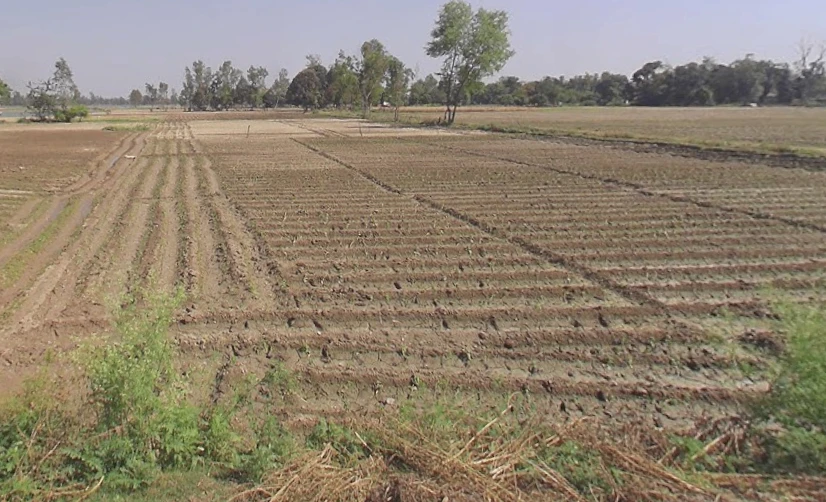 Ahmadpur, Uttar Pradesh 225202, India