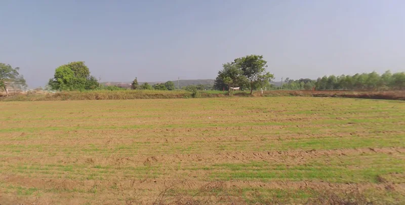 G87X+93 Dhandhusar, Gujarat, India preview 3