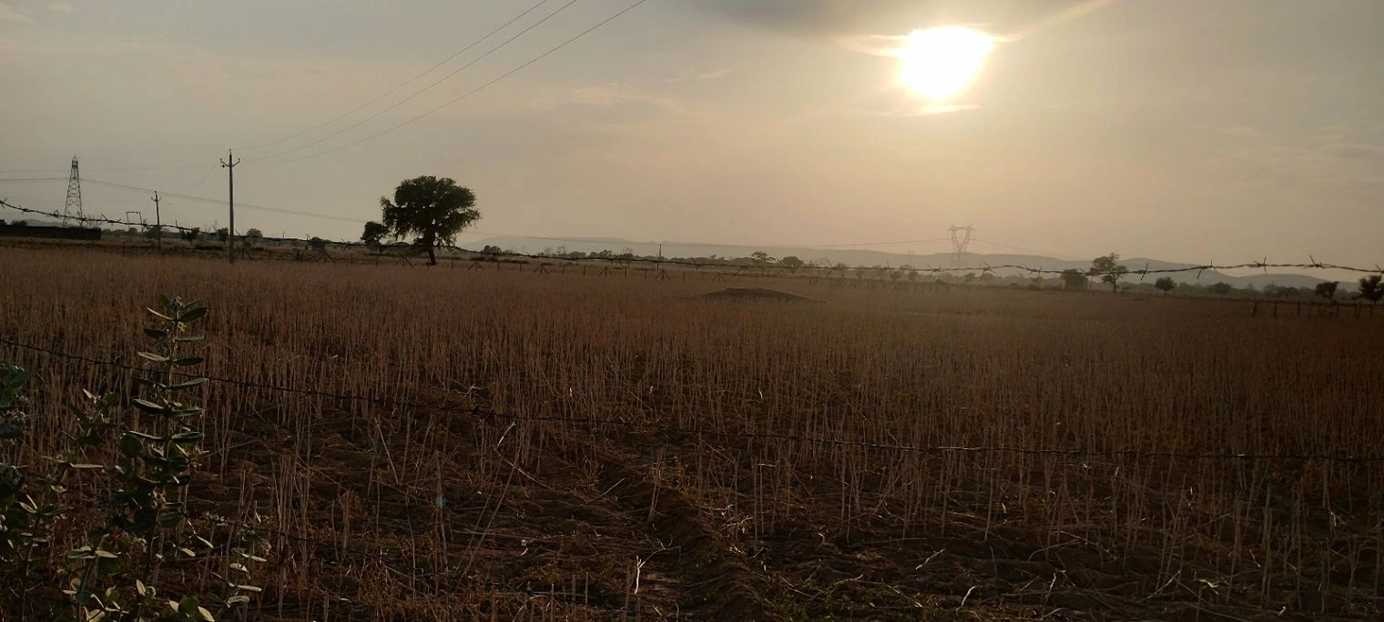 Kherli Veeran, Rajasthan 301021, India