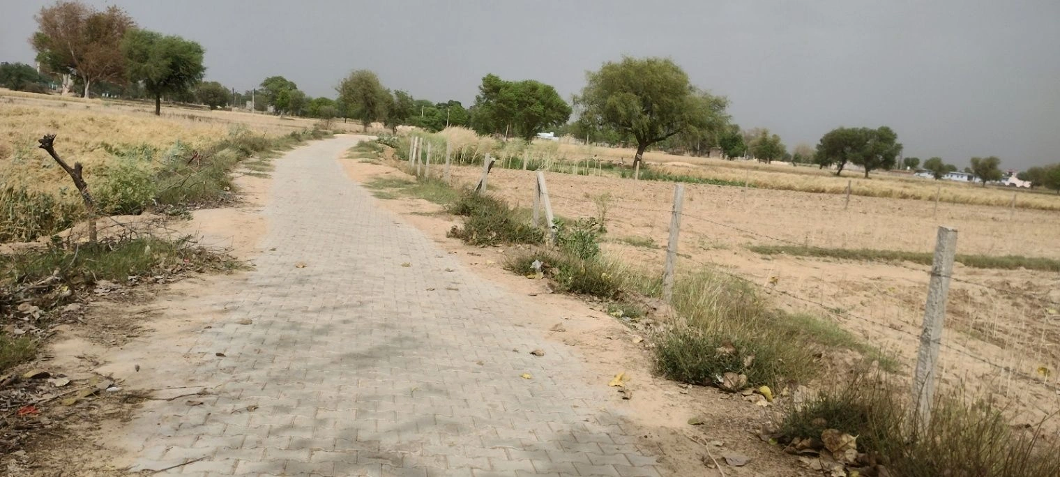 Imlali, Rajasthan, India