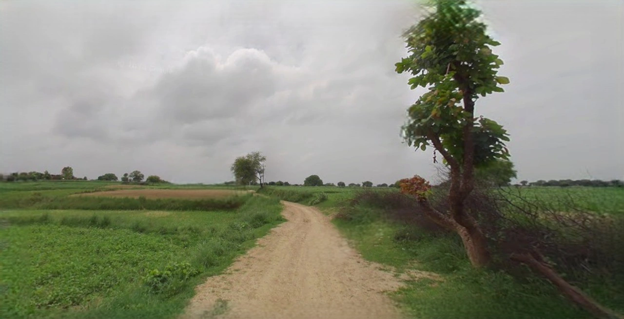 Sonipat, Haryana, India