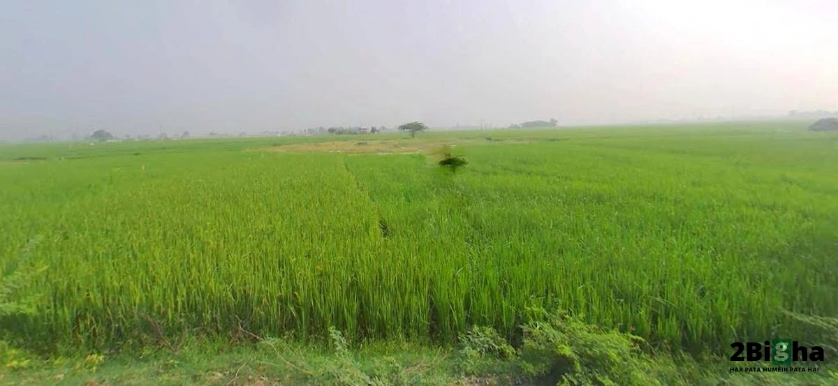 Kanpur - Lucknow Rd, Railway Colony, Alambagh, Lucknow, Uttar Pradesh, India