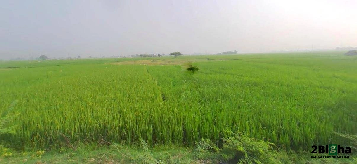 Kanpur - Lucknow Rd, Railway Colony, Alambagh, Lucknow, Uttar Pradesh, India