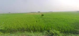 Kanpur - Lucknow Rd, Railway Colony, Alambagh, Lucknow, Uttar Pradesh, India preview 3