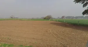 Talao, Haryana 124103, India preview 3