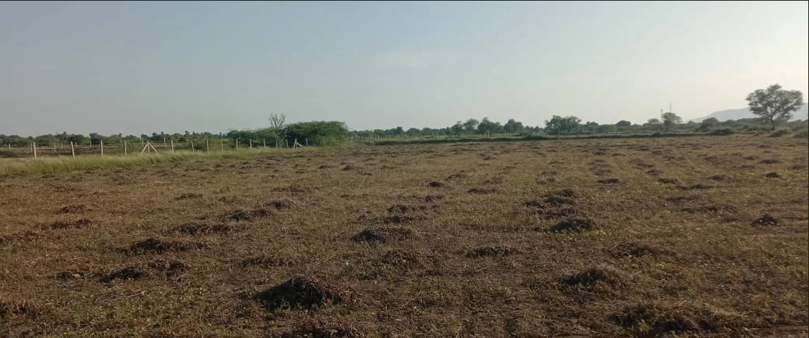 Sector 95, Gurugram, Haryana 122505, India