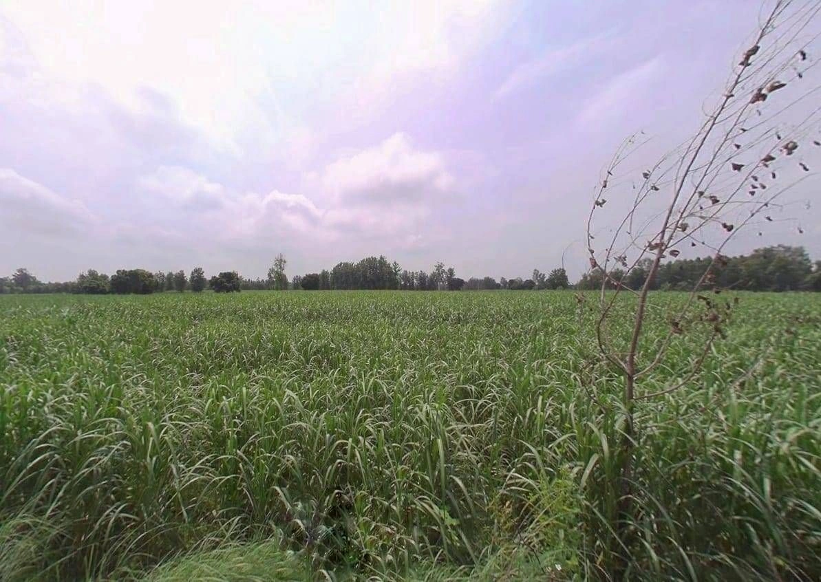 W34F+G9 Chandpur, Uttar Pradesh, India