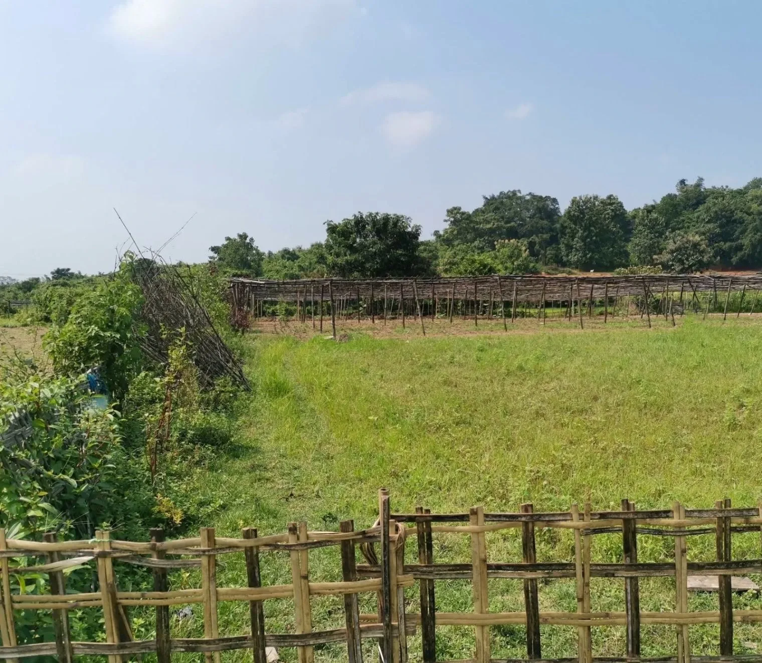 Dharmawala, Herbertpur, Uttarakhand 248142, India