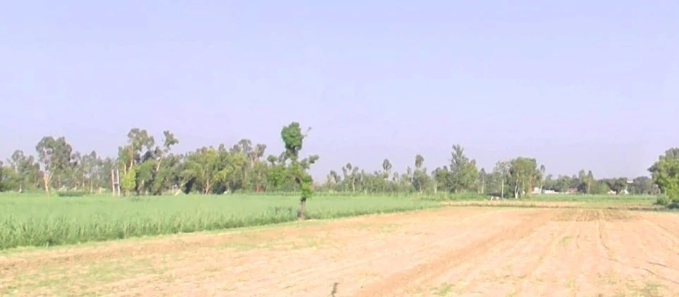 Hakkanipura, Madhya Pradesh 456006, India