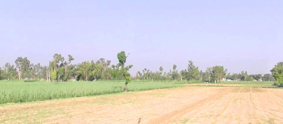 Hakkanipura, Madhya Pradesh 456006, India
