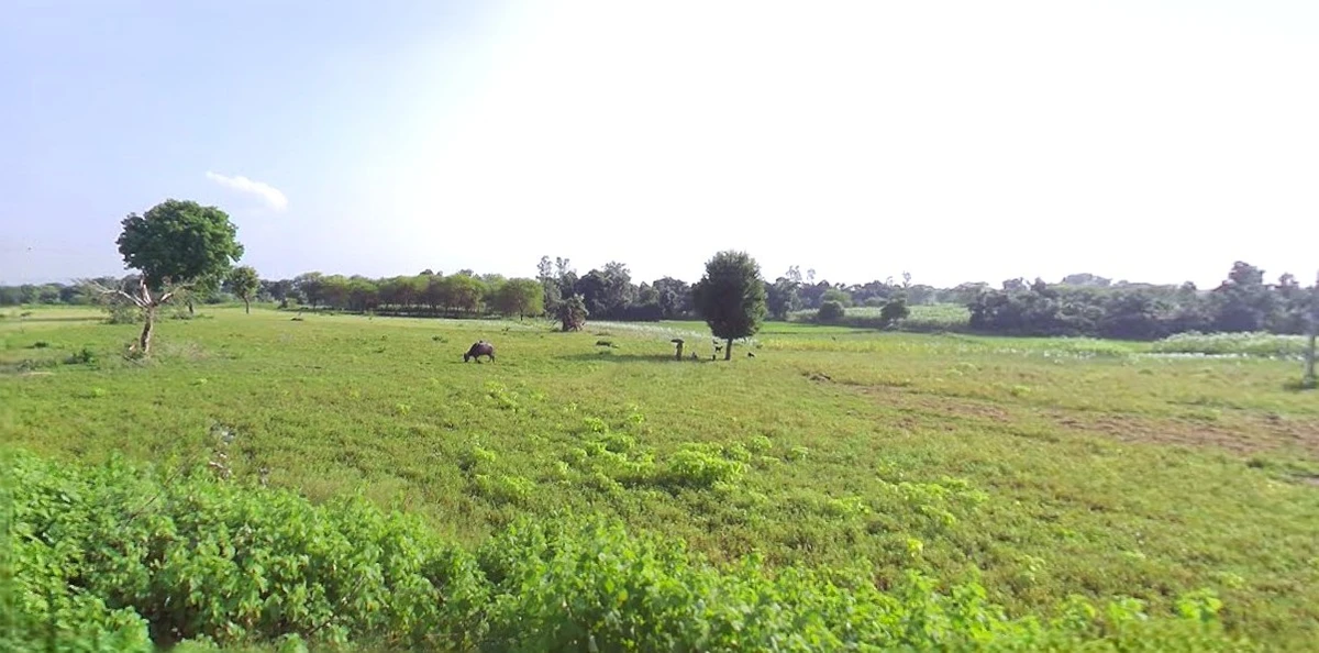 Prayagraj, Uttar Pradesh, India