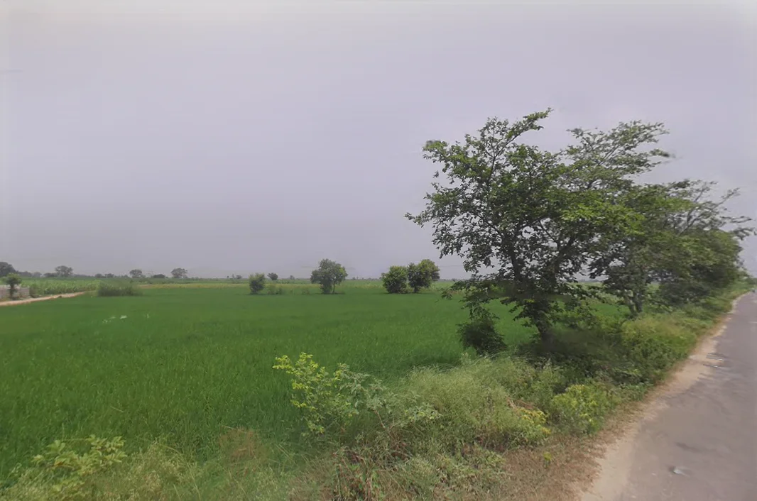 Khokiyaka, Haryana 121103, India preview 2