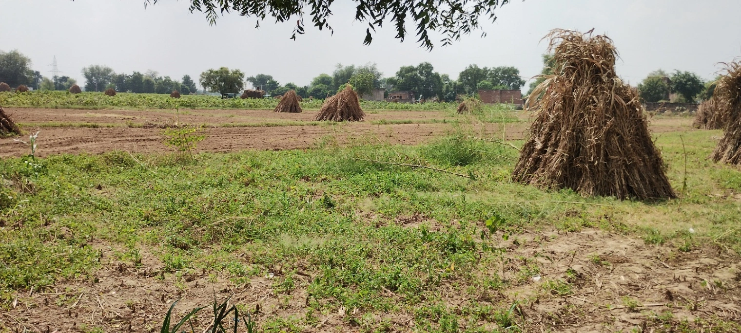 Semli, Rajasthan, India