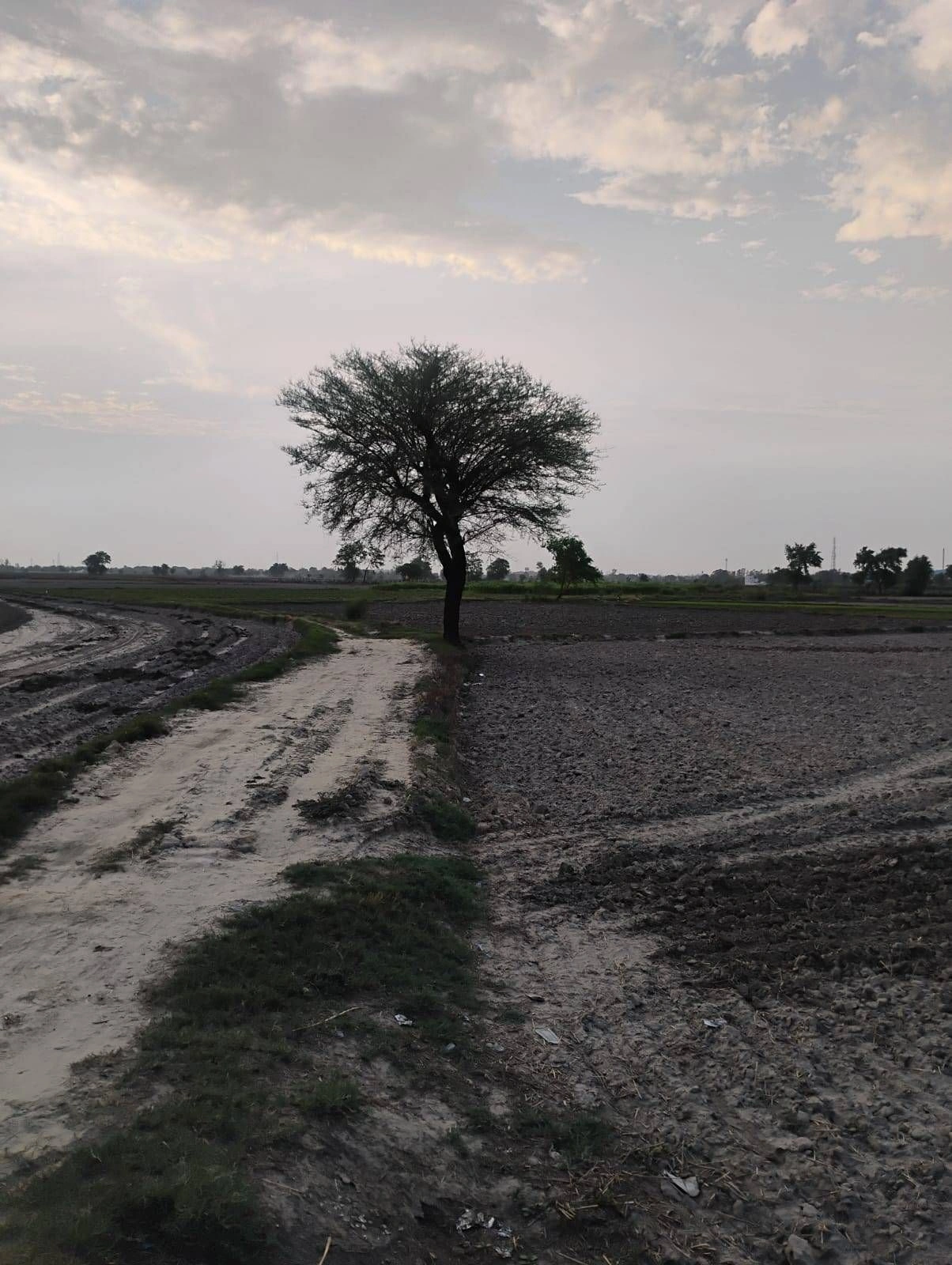 Bishambhara, Uttar Pradesh 281404, India preview 2