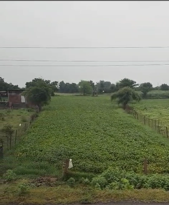 7JJQ+X25, Mandsaur, Bardiya Amra, Madhya Pradesh 458880, India
