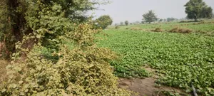 Deeg, Rajasthan 321203, India preview 2