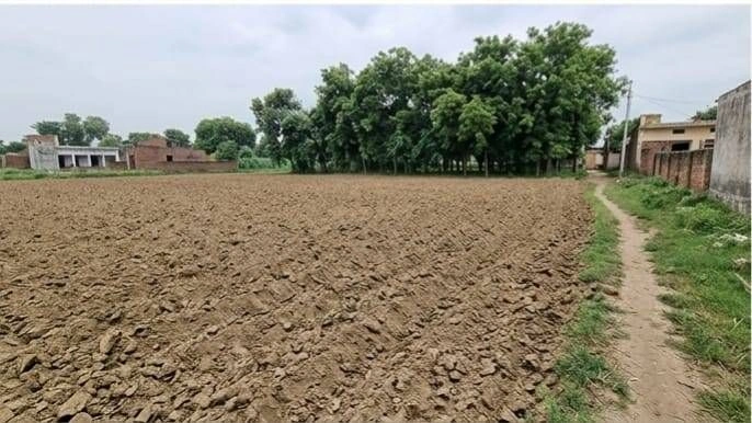 Barhana, Uttar Pradesh, India