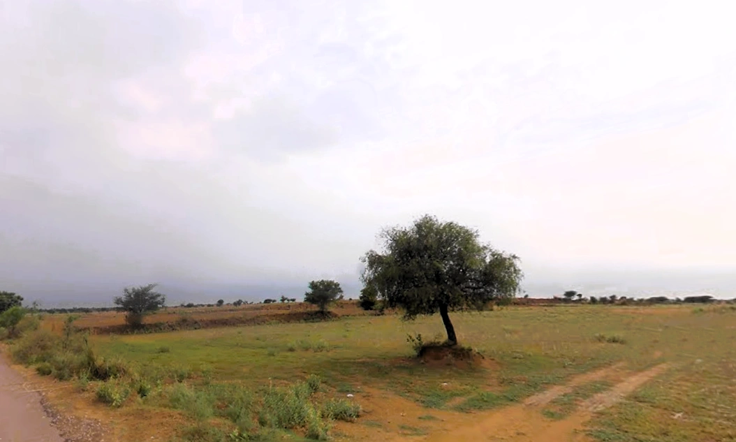 Bapora, Haryana 127111, India