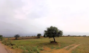 Bapora, Haryana 127111, India preview 3