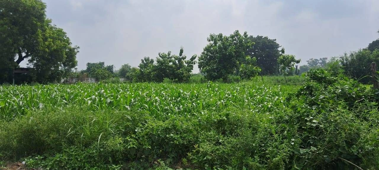 Mant, Mathura, Uttar Pradesh 281202, India