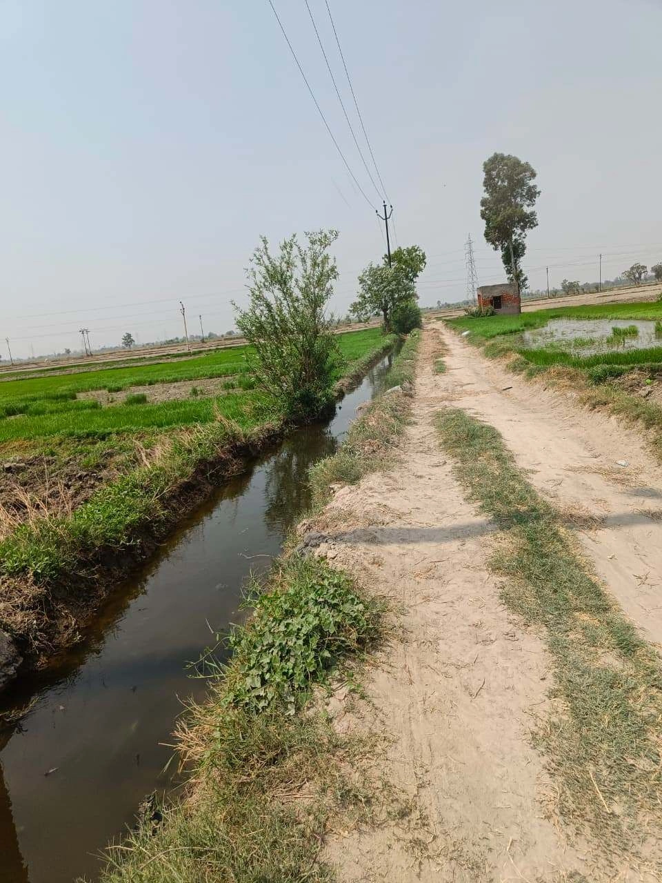 Sahar, Uttar Pradesh, India