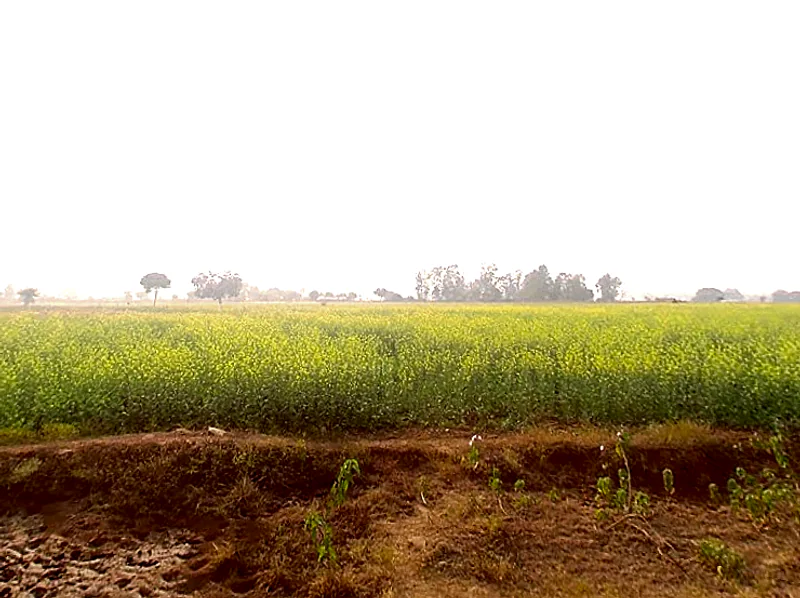 Matihani, Uttar Pradesh, India preview 2