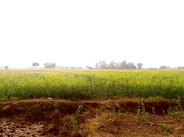 Matihani, Uttar Pradesh, India preview 2