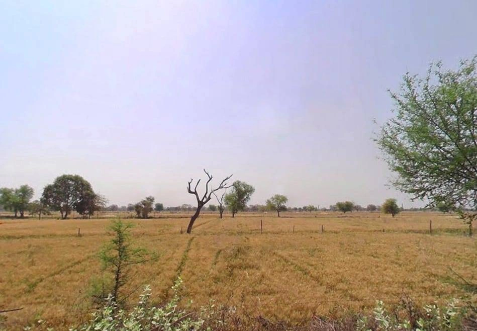 Mala Khera, Rajasthan 301406, India