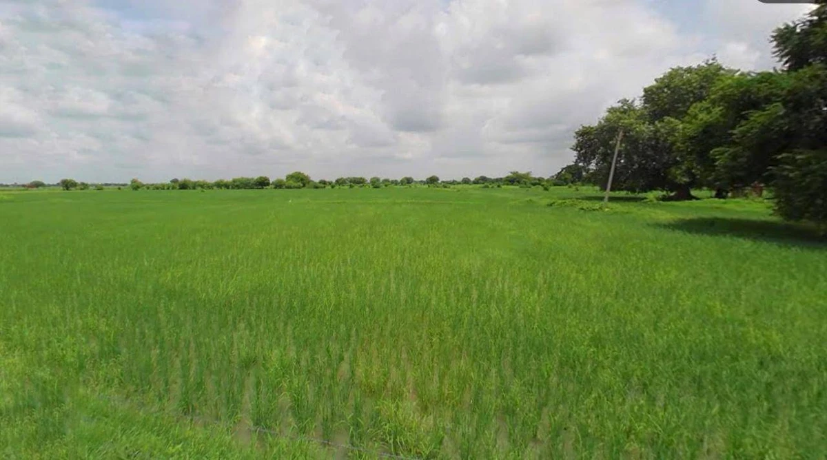 Sri Ganganagar, Rajasthan, India
