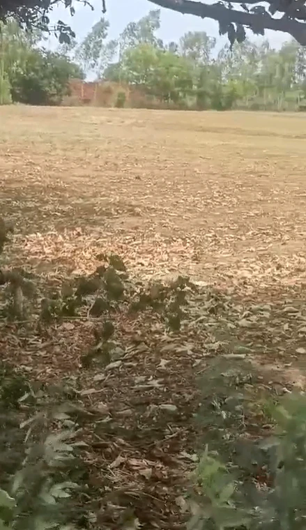 VM58+WM6, Hasampura, Rajasthan 302026, India