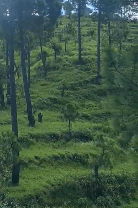 Palikhal, Pauri Garhwal, Uttarakhand, India