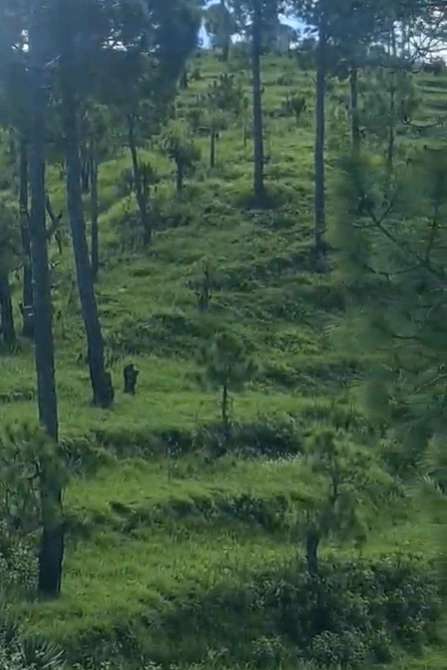 Palikhal, Pauri Garhwal, Uttarakhand, India