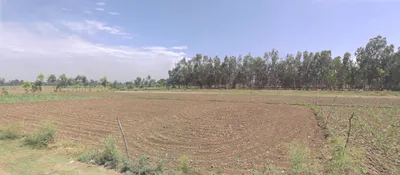 Powayan, Uttar Pradesh 242401, India preview 3