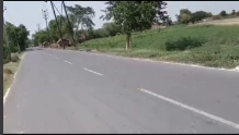 QJM5+HJ8, Mathura, Shergarh, Shergarh Khadar, Uttar Pradesh 281404, India