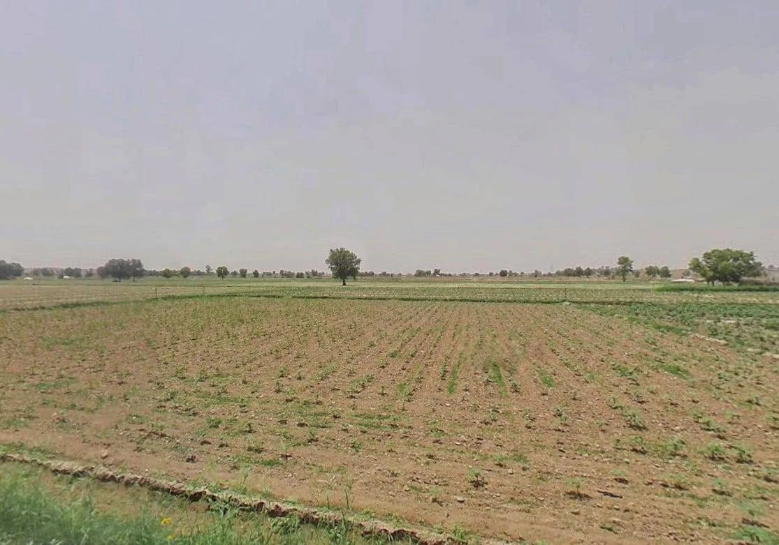 8WG3+FF9, Adarsh Colony, Suratgarh, Rajasthan 335804, India