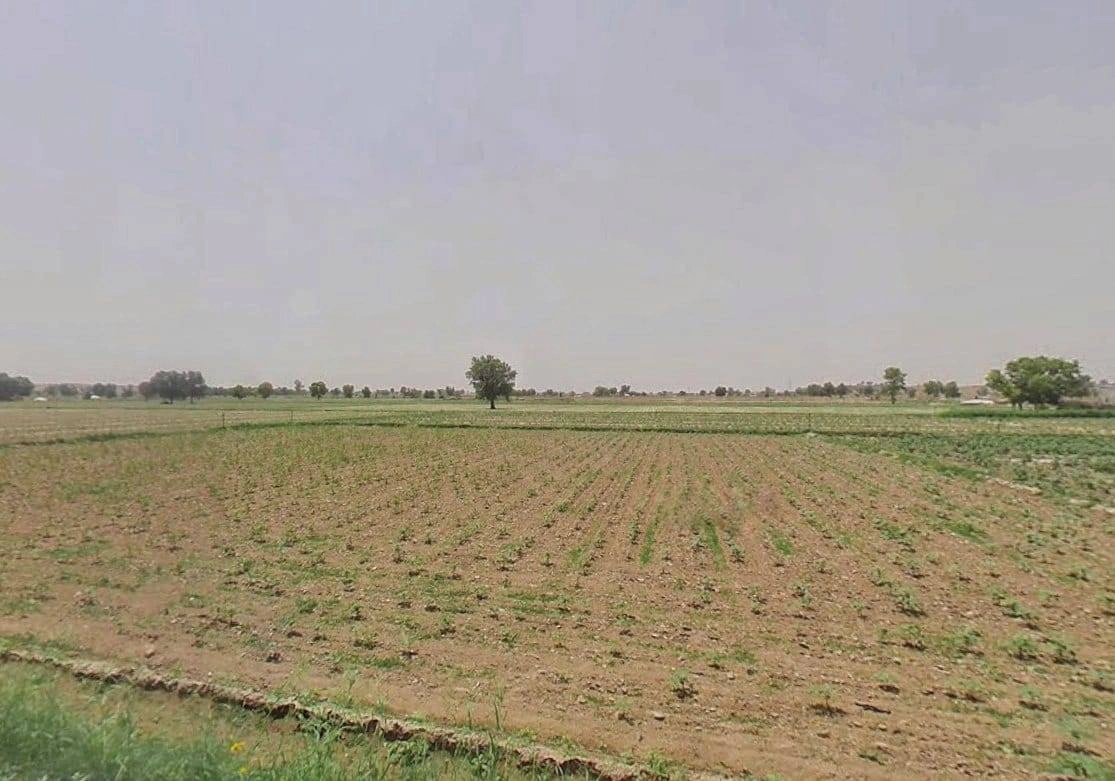 8WG3+FF9, Adarsh Colony, Suratgarh, Rajasthan 335804, India