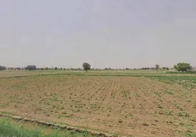 8WG3+FF9, Adarsh Colony, Suratgarh, Rajasthan 335804, India preview 3