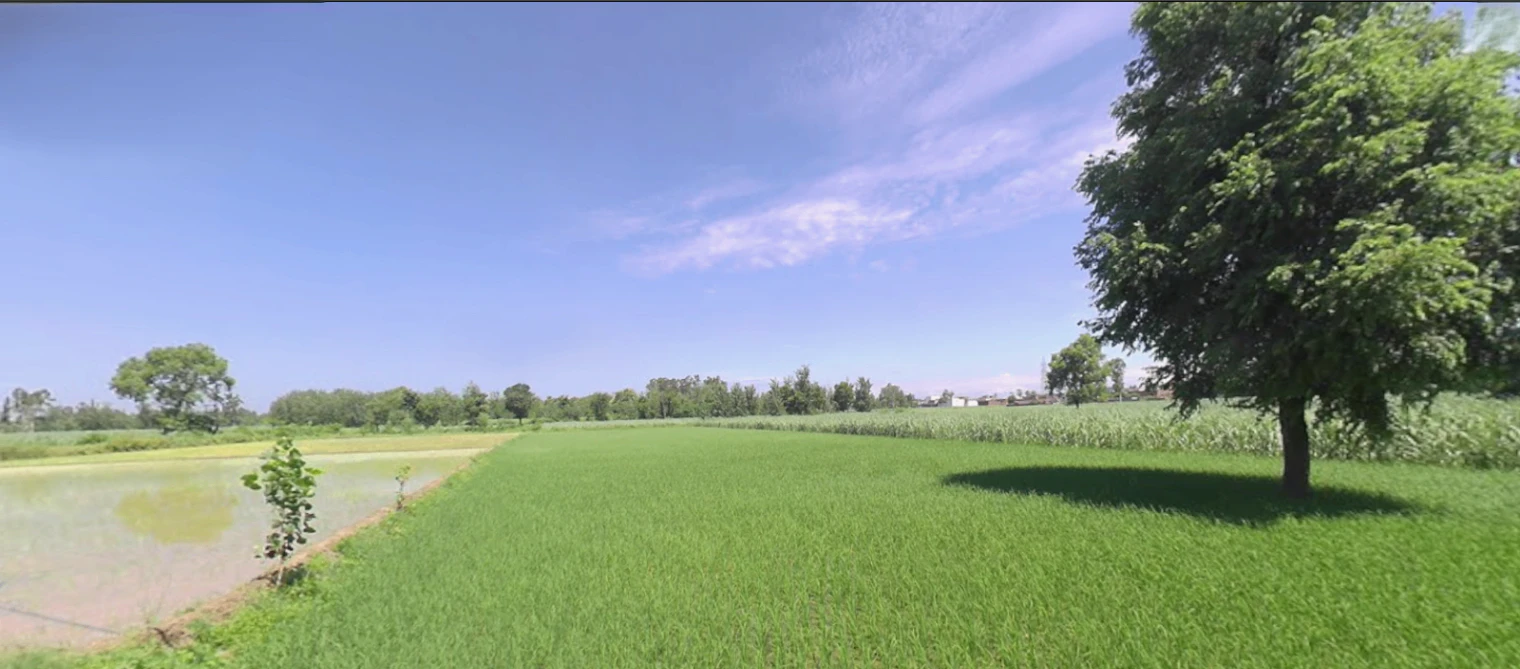Rishikesh, Uttarakhand, India