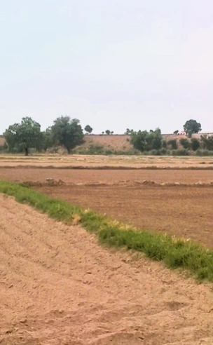 Allika, Palwal, Haryana 121102, India preview 3
