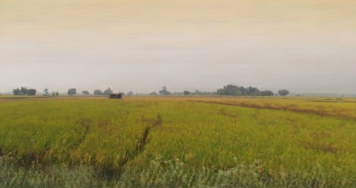 Purwa, Uttar Pradesh, India