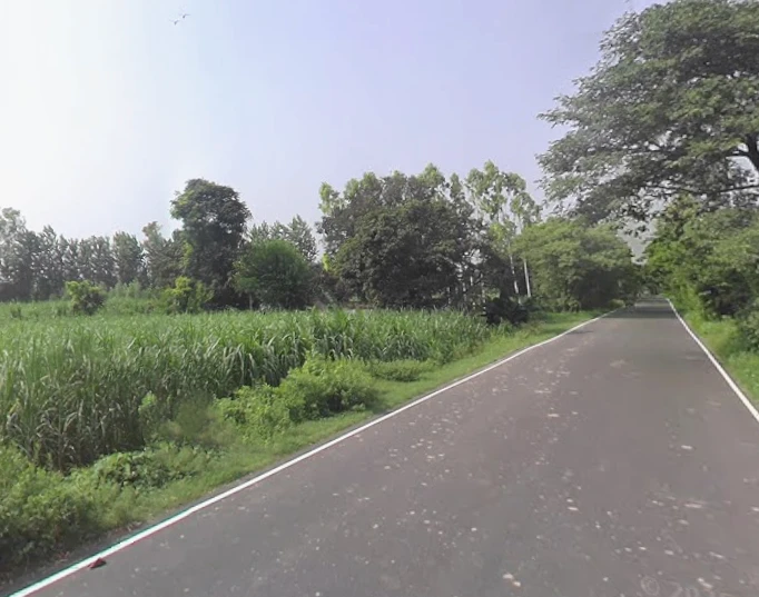 Kalsiya, Uttar Pradesh 247120, India
